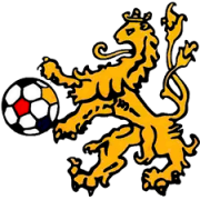VV Doetinchem