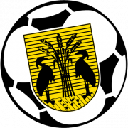 VV Reiger Boys